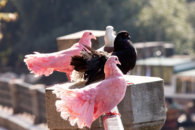 出表现让人 出表现让人